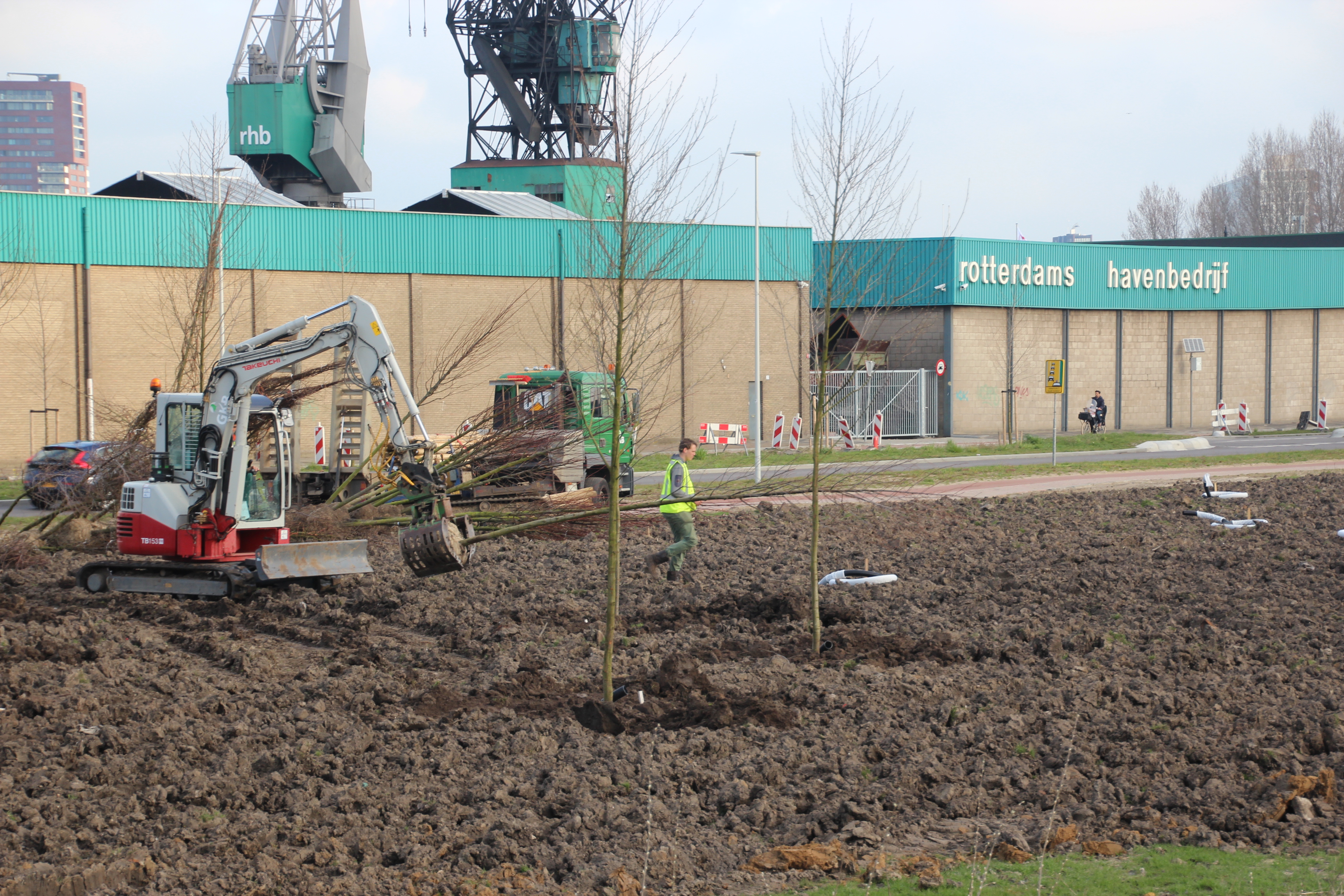 Bomen planten voormalig Van Leeuwenterrein